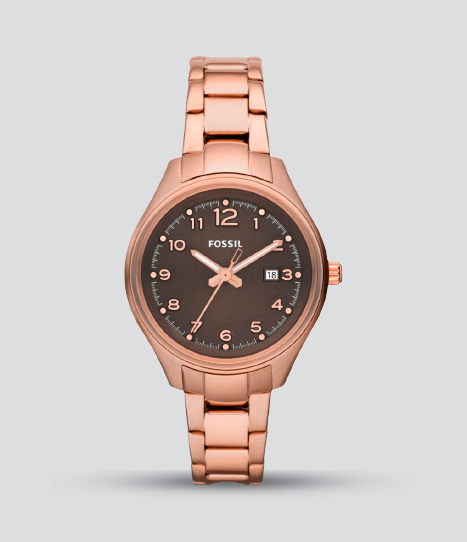 FOSSIL FLIGHT MINI