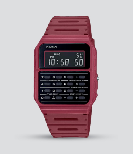 CASIO DATABANK
