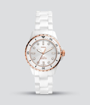 FOSSIL FB-01