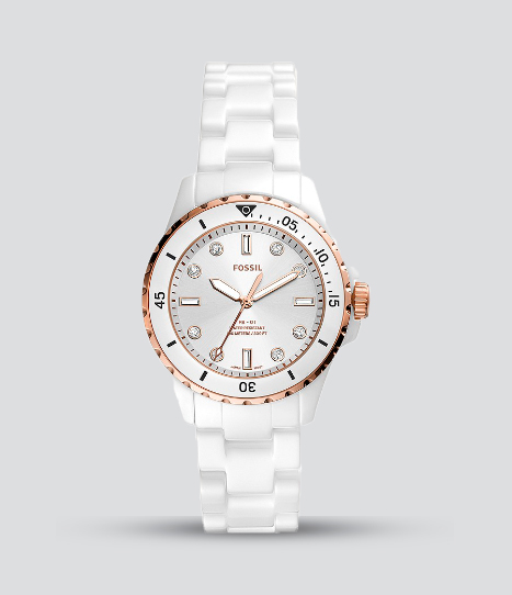 CE1107 FOSSIL FB-01