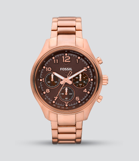 CH2793 FOSSIL FLIGHT
