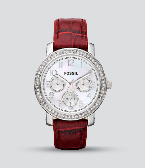 FOSSIL STELLA