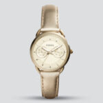ES3912 FOSSIL TAILOR