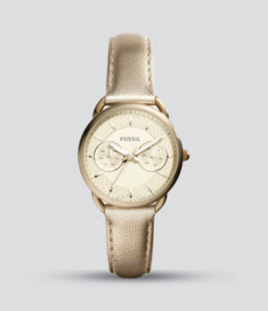 FOSSIL TAILOR