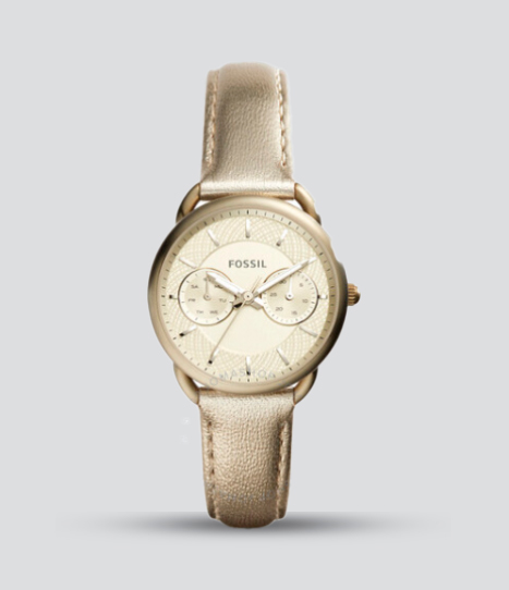 ES3912 FOSSIL TAILOR