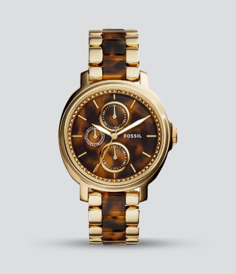 FOSSIL CHELSEY