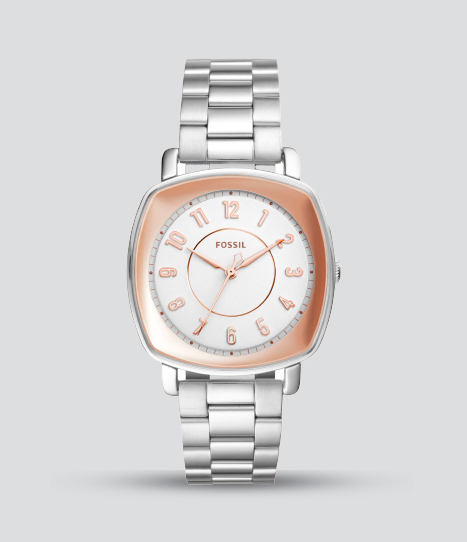 FOSSIL IDEALIST