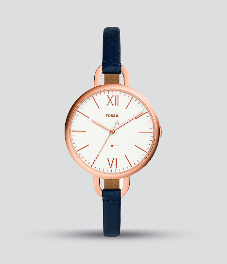 FOSSIL ANNETTE