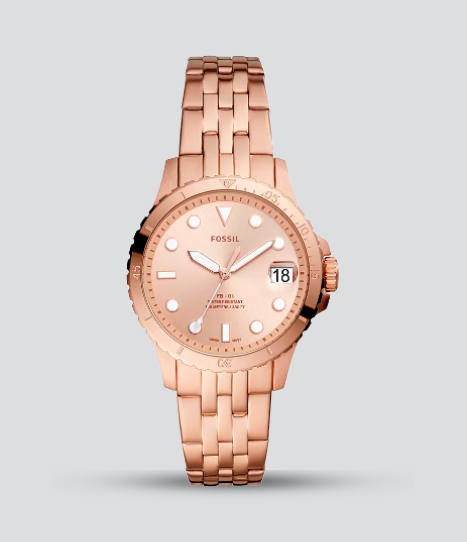 FOSSIL FB-01