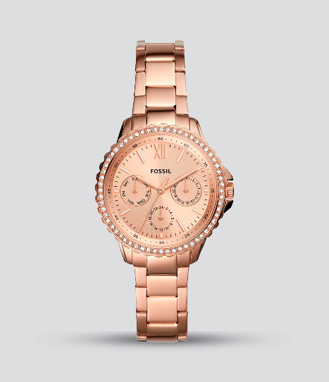 ES4782 FOSSIL IZZY