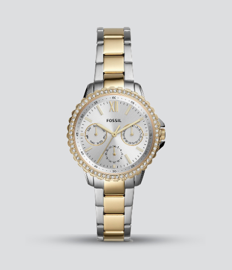 FOSSIL IZZY