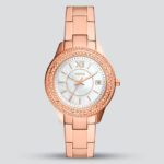 ES5131 FOSSIL STELLA