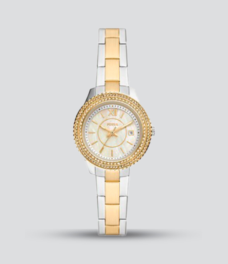 FOSSIL STELLA