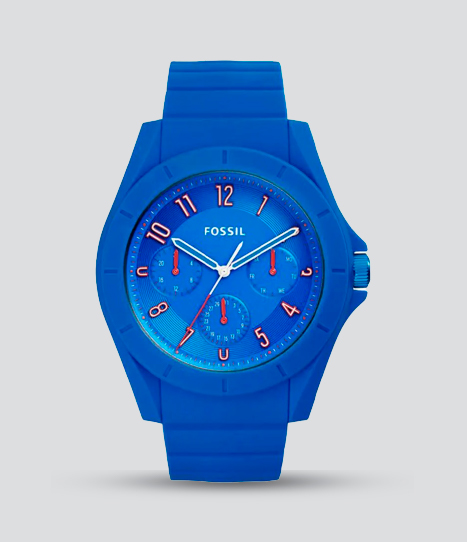 FOSSIL POPTASTIC