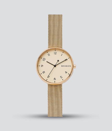 SKAGEN SIGNATUR