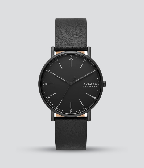 SKAGEN SIGNATUR