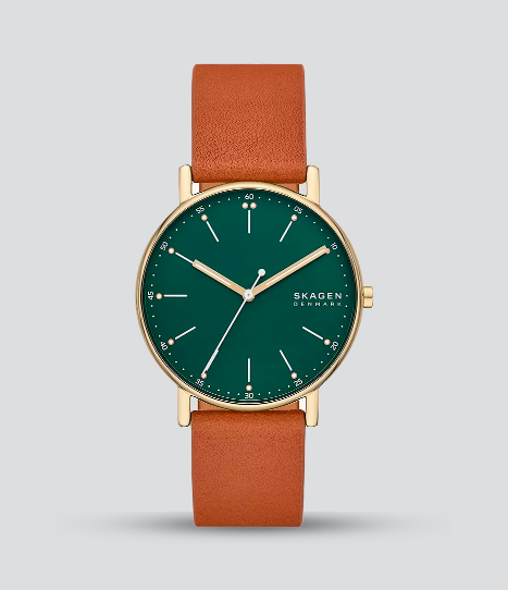 SKAGEN SIGNATUR