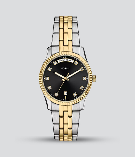 FOSSIL SCARLETTE